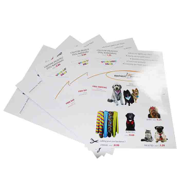 Coated Paper Pet Flyer